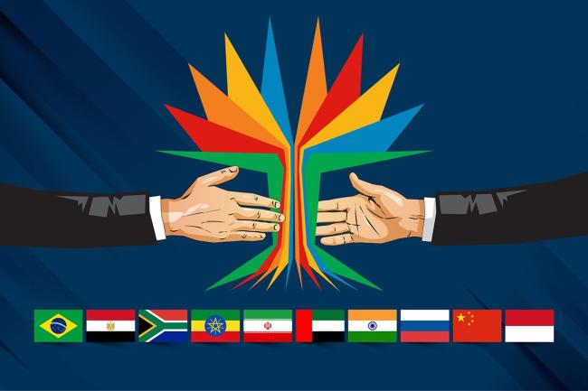 Bendera peserta BRICS / Foto : Dirjen Pajak