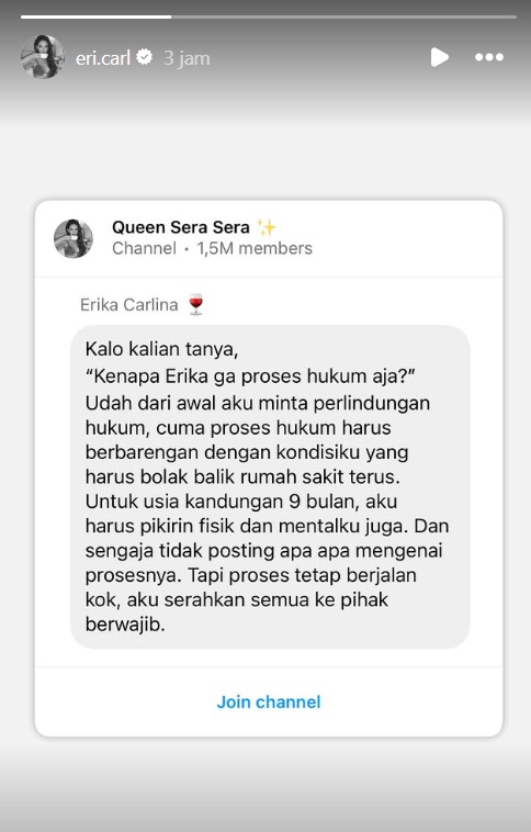 Tangkapan layar story instagram Erika / Foto : capture IG