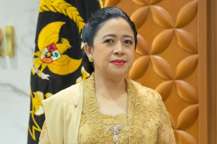 Puan Maharani / Foto: Kompas