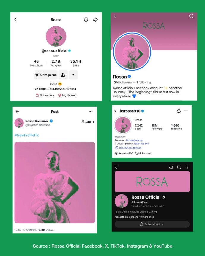 Tampilan media sosial milik Rossa / Foto: X