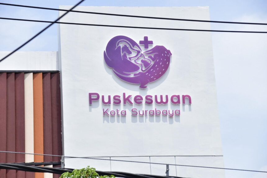 Puskeswan Kota Surabaya/dok.aktual.co.id