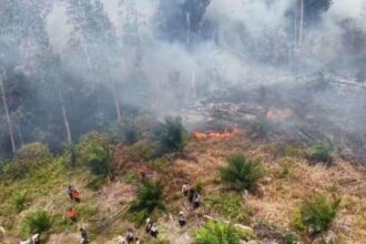 Kebakaran hutan di Riau / Foto : Ist