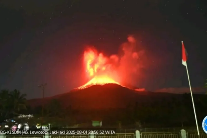 Erupsi Gunung Lewotobi / Foto : PVMBG