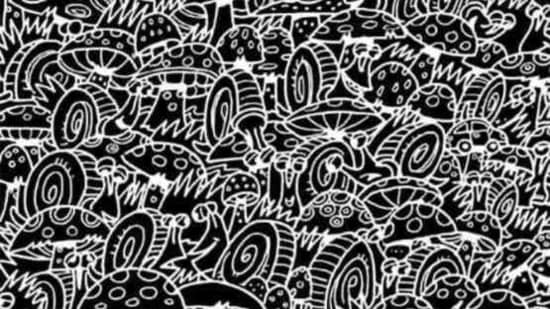 Ilusi Optik / Foto : Hindustani