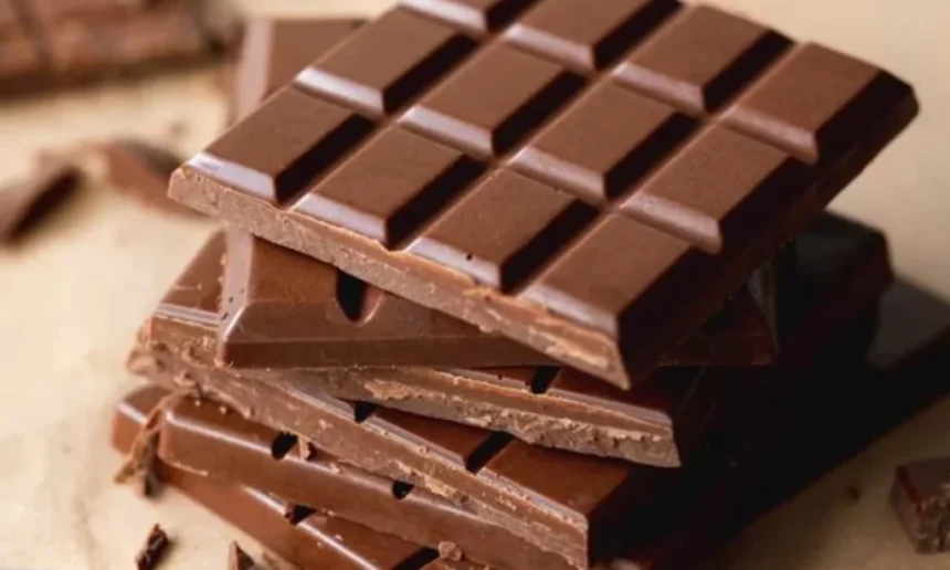 Coklat batangan/ Foto: Ist