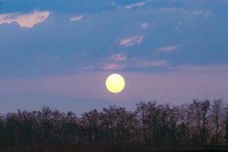 Bulan purnama / Foto: freepik