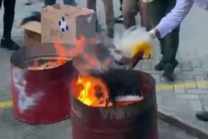 Pemusnahan mahkota Cendrawasih opset yang dilakukan BBKSDA Papua di Jayapura/ Foto: capture ANTARA