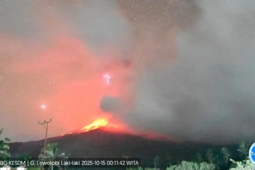 Penampakan erupsi Gunung Lewotobi Laki - Laki / Foto: capture ANTARA