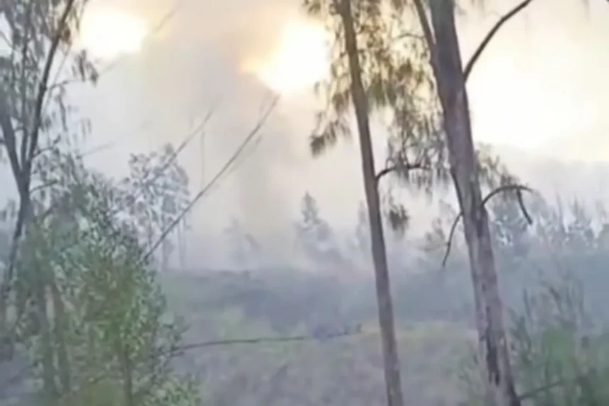 Lahan terbakar di kawasan Gunung Rinjani / Foto : Capture ANTARA