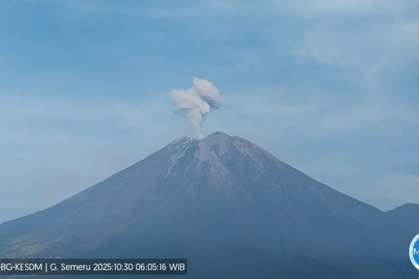 Penampakan kolom erupsi gunung semeru/ Foto: ANTARA