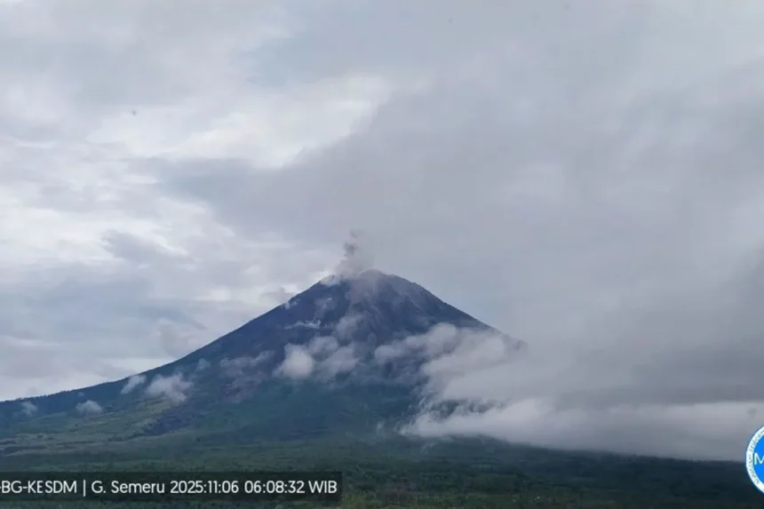 Gunung Semeru erupsi/ Foto: ANTARA