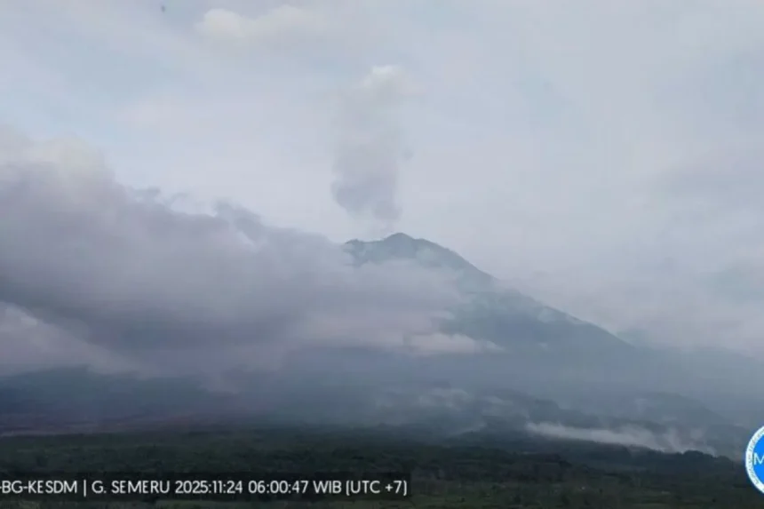 Aktivitas Gunung Semeru yang terpantau dari Pos Pengamatan Gunung Semeru di Desa Sumberwuluh, Kabupaten Lumajang/ Foto: capture ANTARA