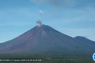 Tampilan erupsi Gunung Semeru/ Foto: capture ANTARA