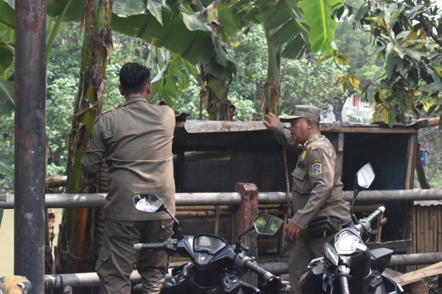Satpol PP Surabaya melakukan penertiban bangunan liar/ Foto: Pemkot Surabaya