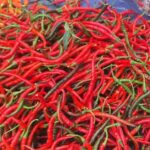 Cabai merah keriting/ foto: RRI