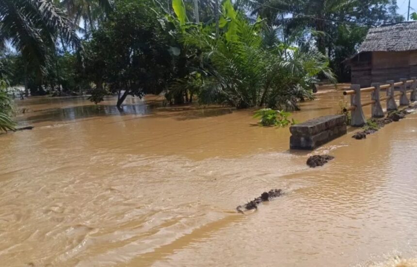Banjir merendam salah satu desa di Kecamatan Woyla Barat, Kabupaten Aceh Barat/ Foto: capture ANTARA