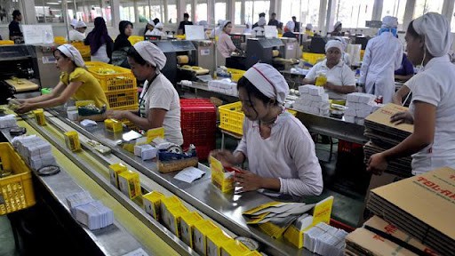 Pekerja pengepakan di salah satu perusahaan / Foto: Ist