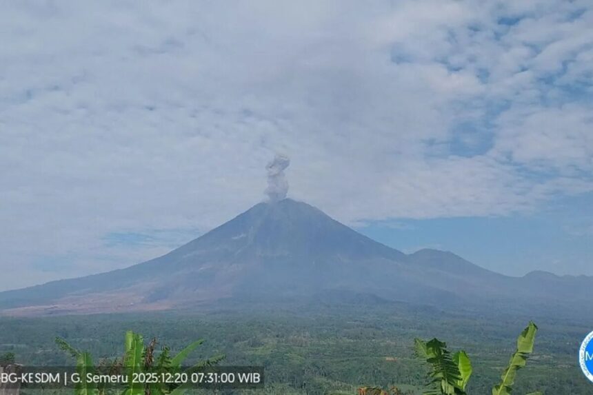 Penampakan erupsi Gunung Semeru / Foto: capture ANTARA