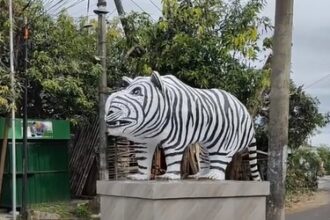 Bentuk macan putih yang viral/ Foto: TikTok