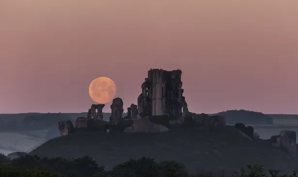 Ilustrasi bulan purnama/ Foto: Space
