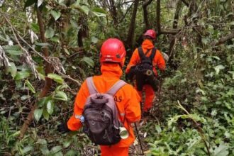 Tim SAR saat pencarian korban Syafiq di Gunung Slamet / Foto: Ist