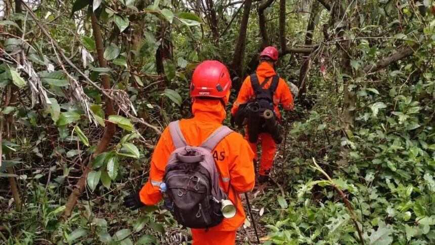 Tim SAR saat pencarian korban Syafiq di Gunung Slamet / Foto: Ist