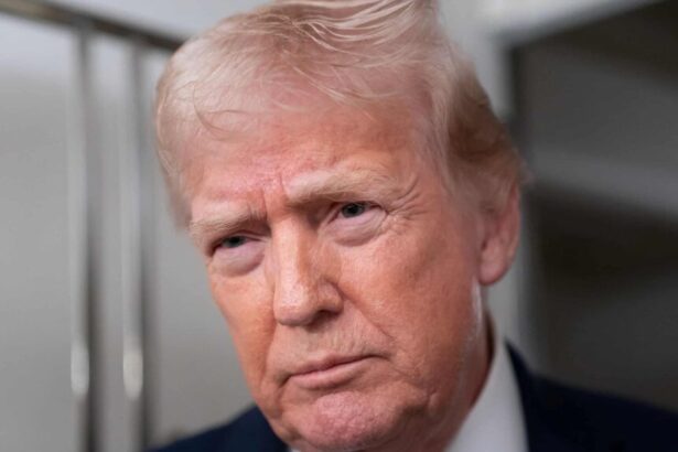 Presiden AS Donald J Trump / Foto : capture The Guardian