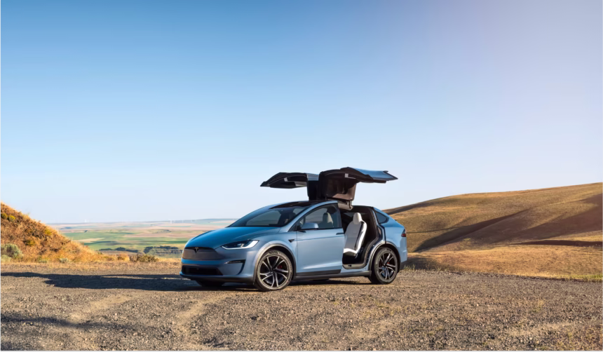 Tesla model X/ Foto: tesla