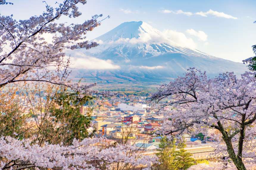 Kota Fujiyoshida dan ranting sakura latar belakang Gunung Fuji / Foto: The Guardian