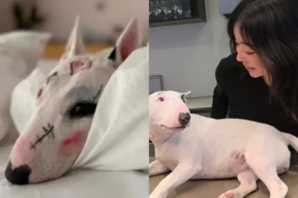 Tangkapan layar postingan Lee Hye Young / Foto: allkpop