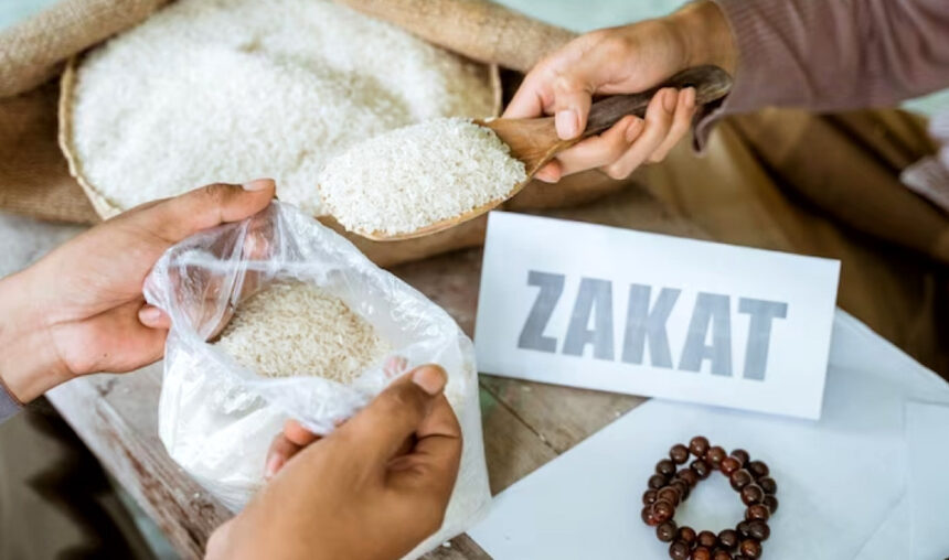 Ilustrasi zakat/ Foto: Ist
