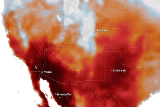 Grafis gelombang panas di AS/ Foto: Nasa