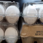 Konsumsi telur 2 minggu sekali mengurangi risiko Alzheimer/ Foto: daily Mail