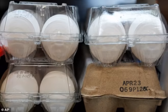 Konsumsi telur 2 minggu sekali mengurangi risiko Alzheimer/ Foto: daily Mail