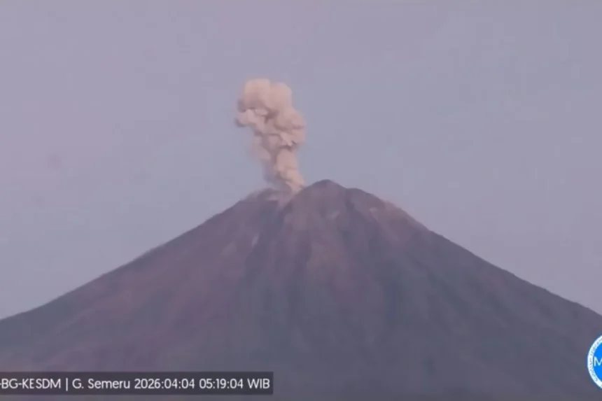 Erupsi Gunung Semeru/ Foto: ANTARA