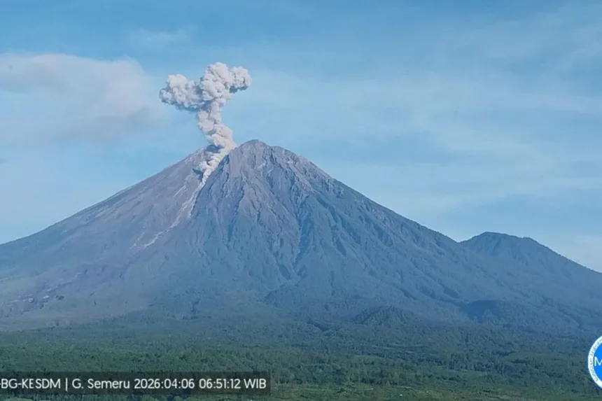 Penampakan erupsi Gunung Semeru/ Foto: ANTARA