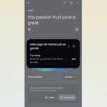 Tangkapan layar google translate/ Foto: engagatged