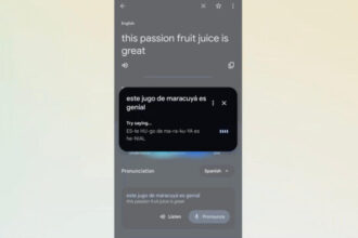 Tangkapan layar google translate/ Foto: engagatged