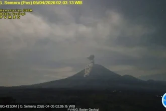 Erupsi Gunung Semeru/ Foto; ANTARA