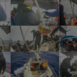 Tangkapan layar pengepungan Global Sumud Flotilla oleh militer Israel/ Foto: Anadolu