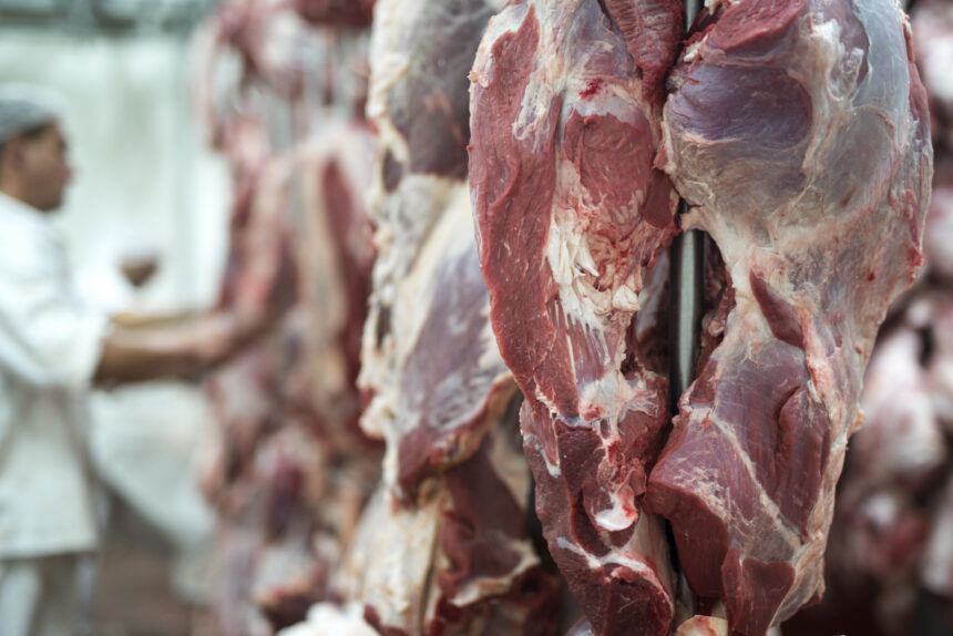 Ilustrasi daging/ Foto: freepik
