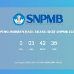 Countdown UTBK SNBT/ Foto: laman UTBK SNBT
