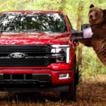 Beruang Tag ketika menguji keamanan Ford F-150/ Foto: carscoops