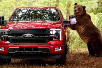 Beruang Tag ketika menguji keamanan Ford F-150/ Foto: carscoops