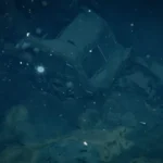 Penampakan mobil Ford di dasar Samudra Pasifik/ Foto: carscoops