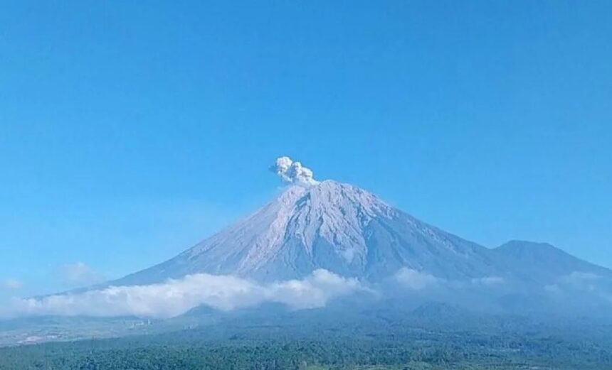 Gunung Semeru erupsi/ Foto: Capture ANTARA