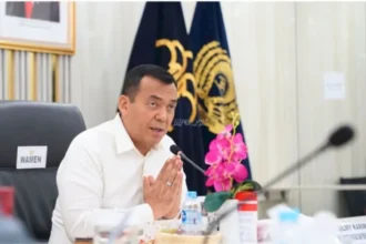 Wakil Menteri (Wamen) Imigrasi dan Pemasyarakatan (Impas) Silmy Karim / Foto: capture ANTARA