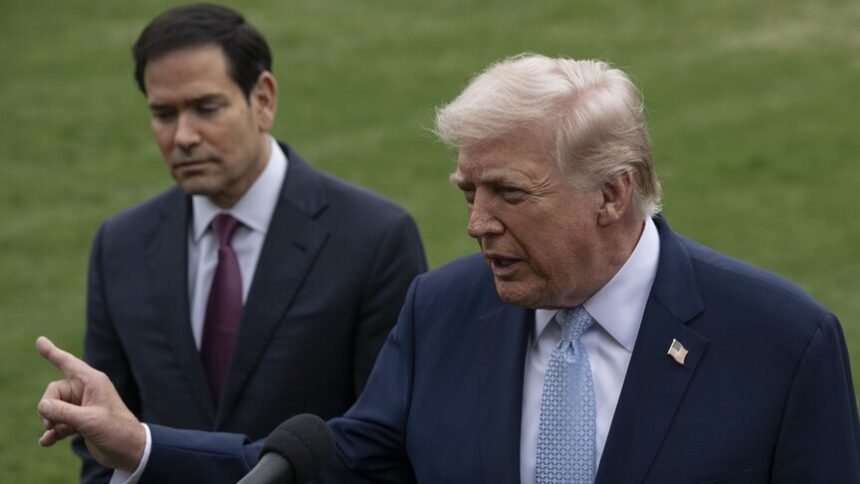 Presiden Donald Trump/ Foto: Anadolu