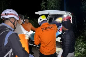 Tim SAR gabungan saat melakukan evakuasi korban Bukit Savana Sembalun/ Foto: ANTARA