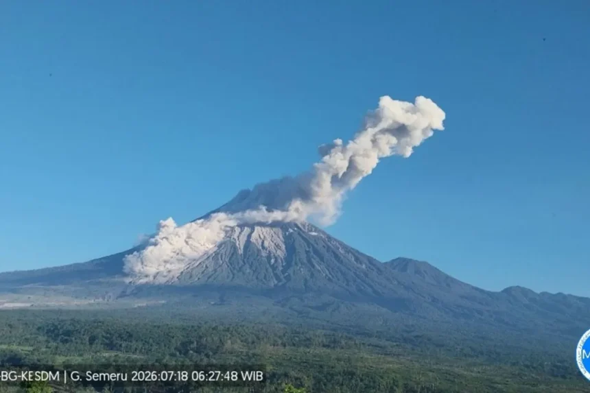 Penampakan erupsi di Gunung Semeru/ Foto: ANTARA